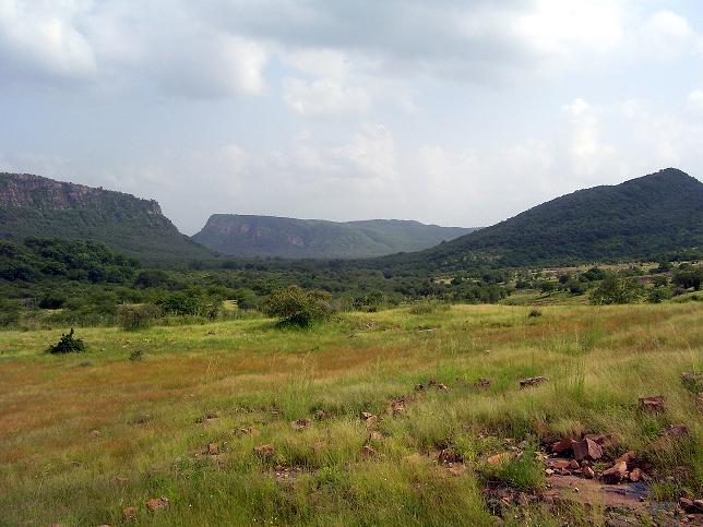 1467696282_2Ranthambore 3.JPG